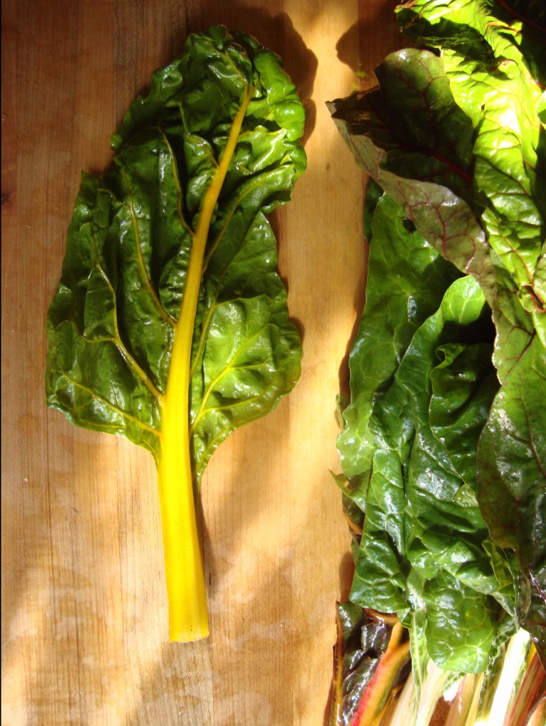 swiss chard