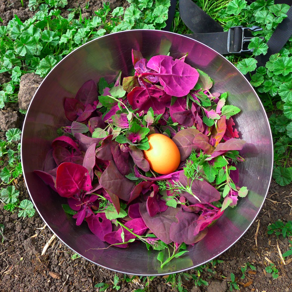 This came out of the ground!