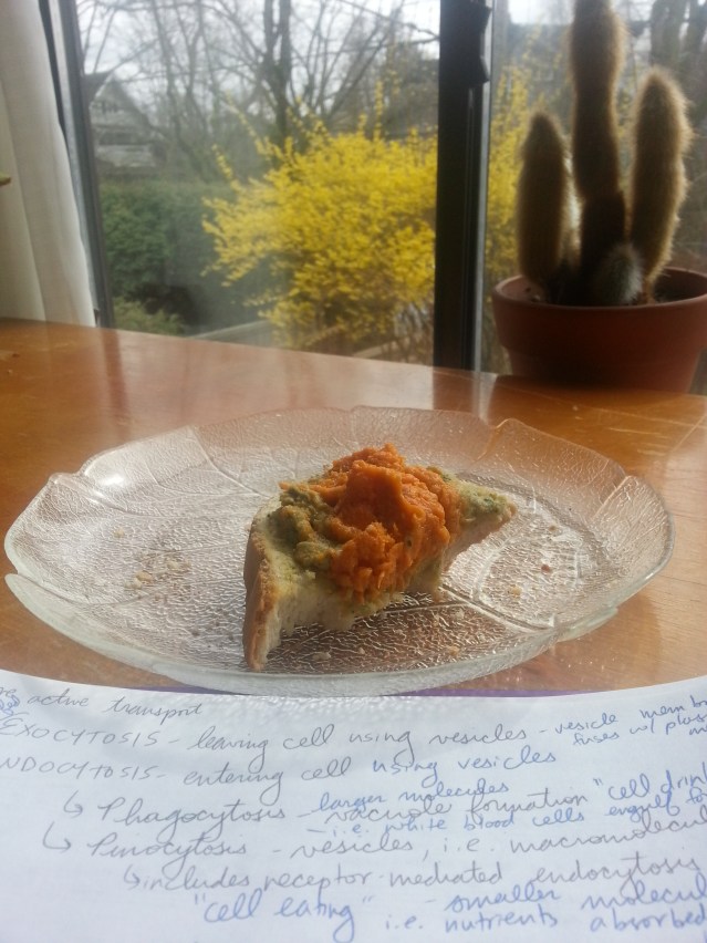 hummus and yam sandwich