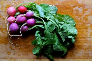Radishes and their Greens