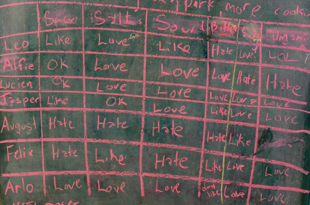 Run a Luncheonette Camp at The Sunview