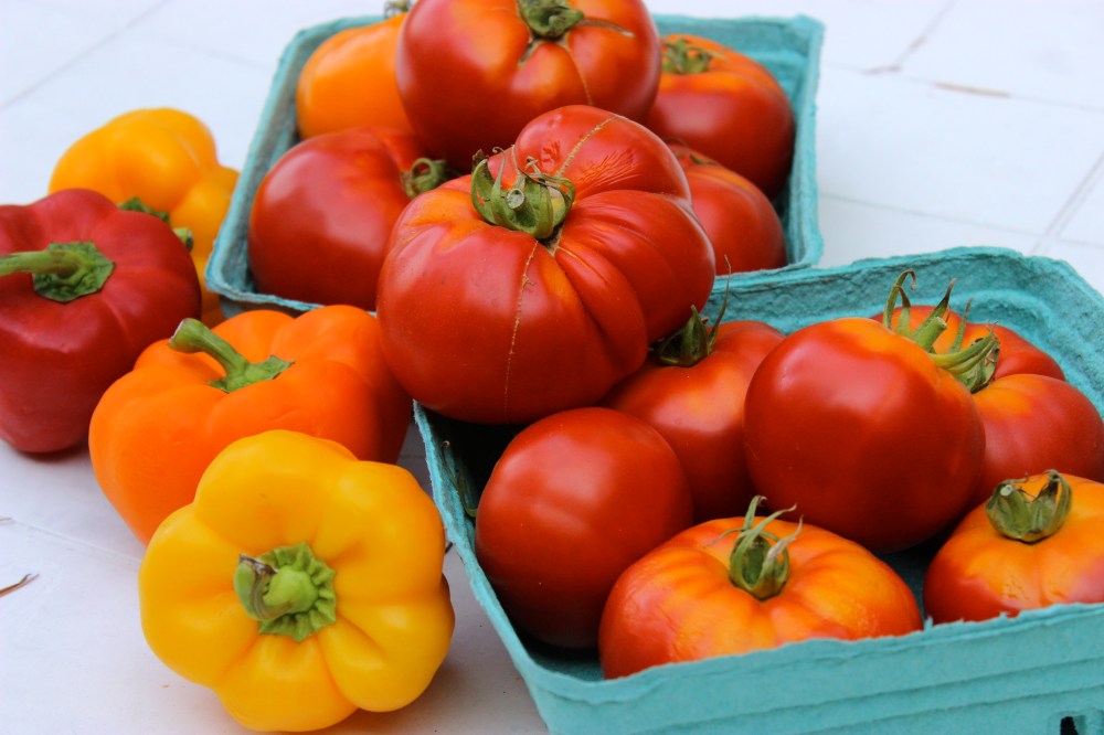 Tomato Soup with Smoked Paprika/ Good Earth Farm Tomatoes and Delta Peppers
