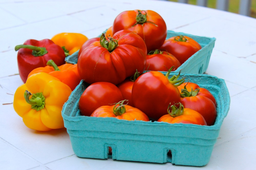 Tomato Soup with Smoked Paprika/ Good Earth Farm Tomatoes and Delta Peppers